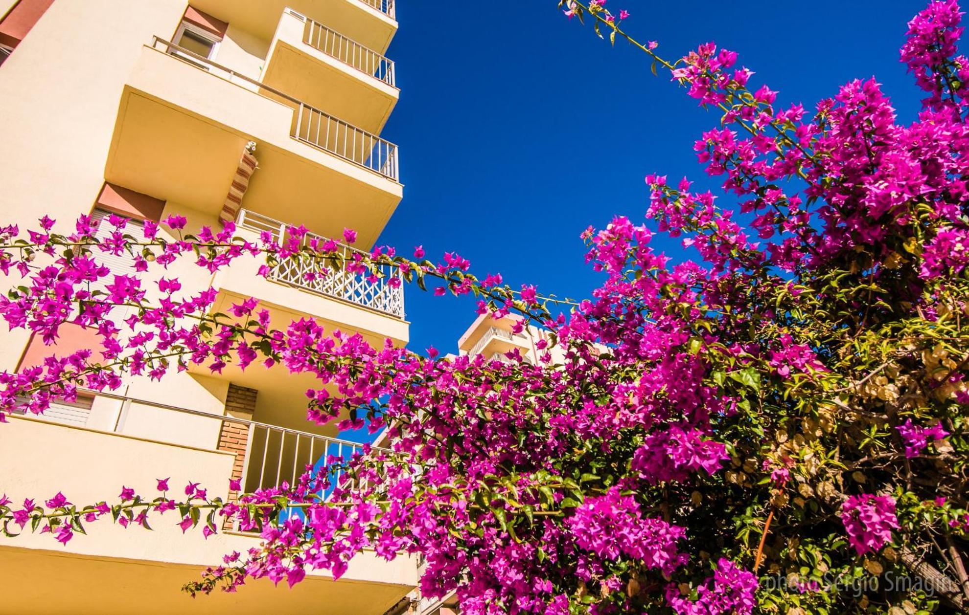 908 Minerva Apartamentos - Vistas Al Mar - Piscina Y Playa Бенальмадена Екстер'єр фото